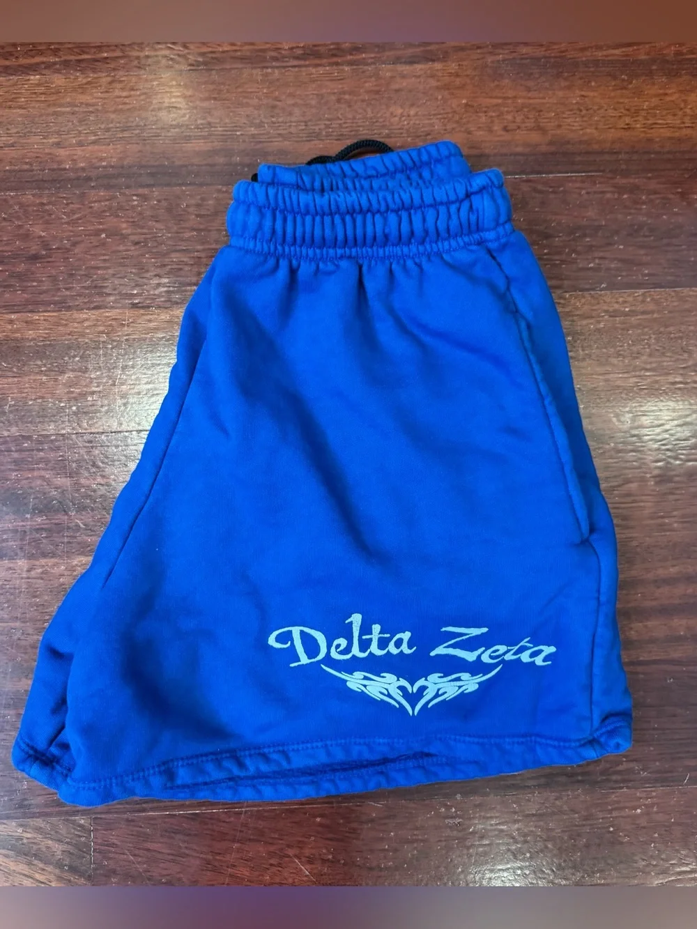 Delta Zeta DZ Sorority Blue Shorts